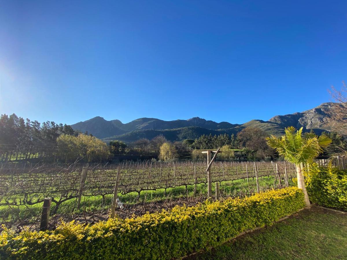 Olive And Vine Farm Cottage フランシュホーク エクステリア 写真