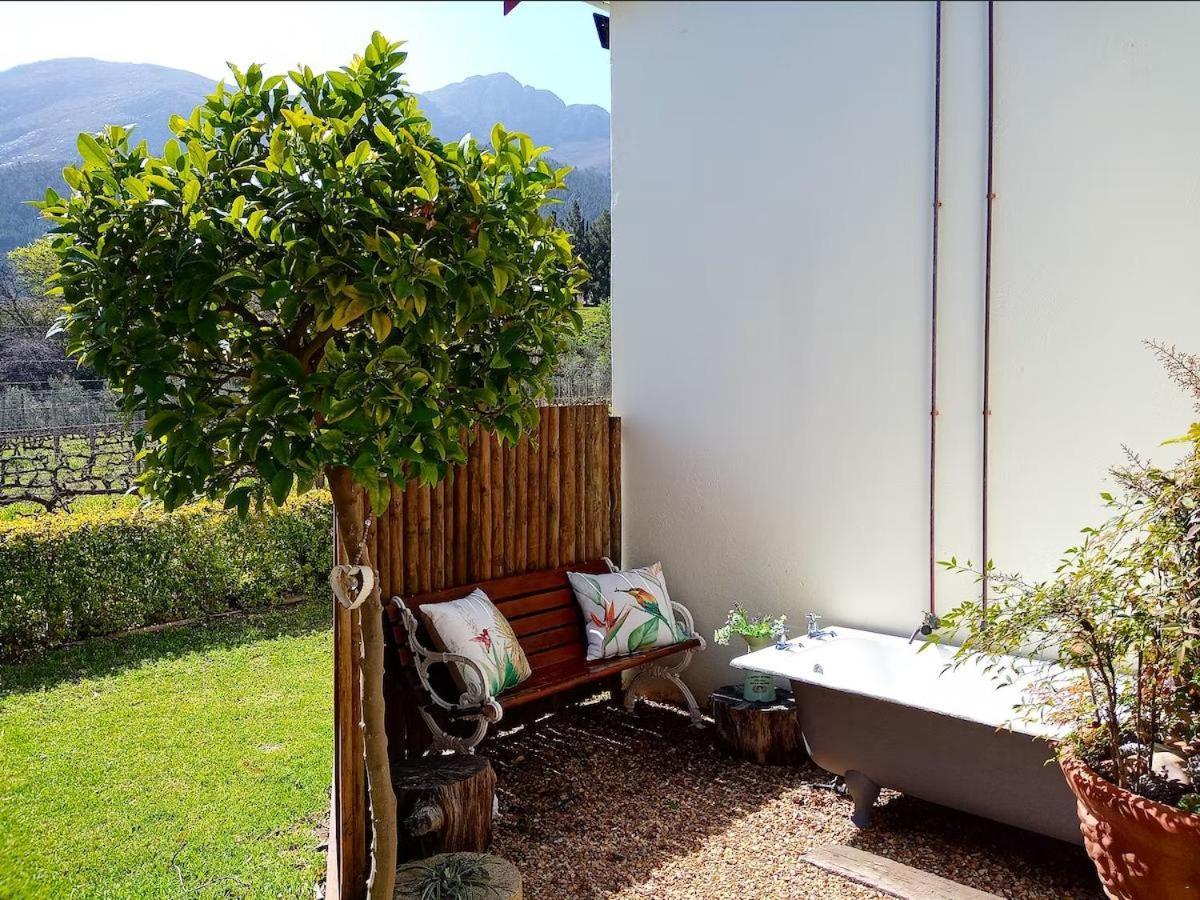 Olive And Vine Farm Cottage フランシュホーク 部屋 写真